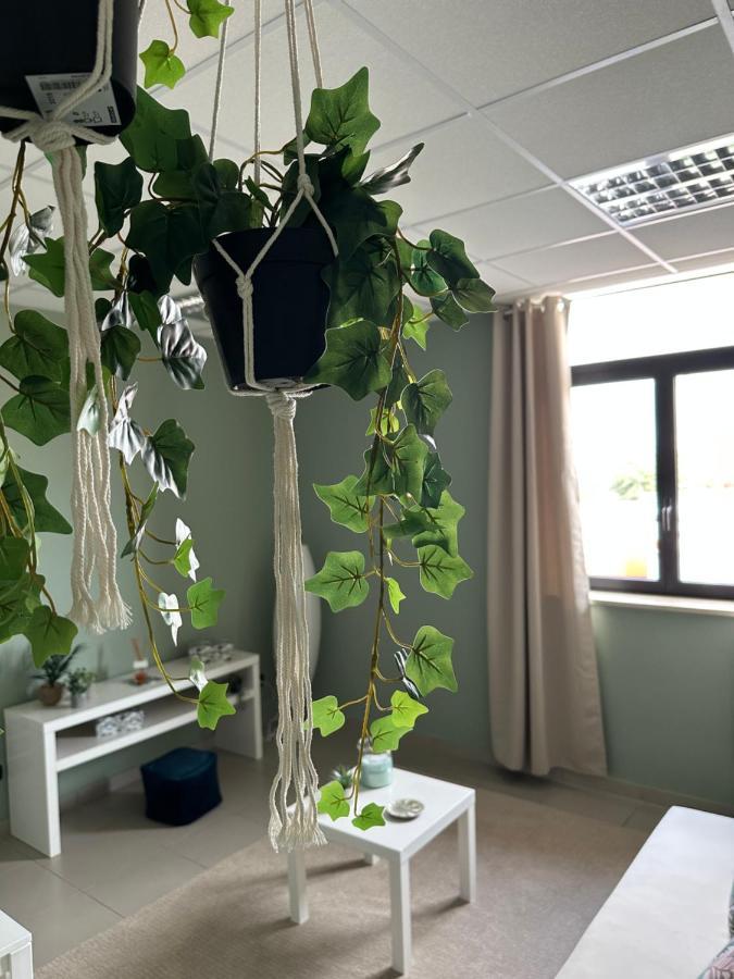 Botanical Suite Bari Kültér fotó